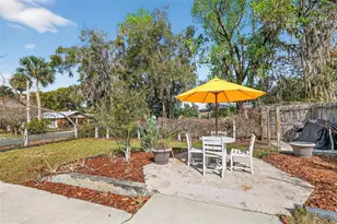 342 S Clayton St, Mount Dora, FL 32757 - Photo 27