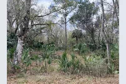736 S Sickle Point, Inverness, FL 34450 - Photo 1