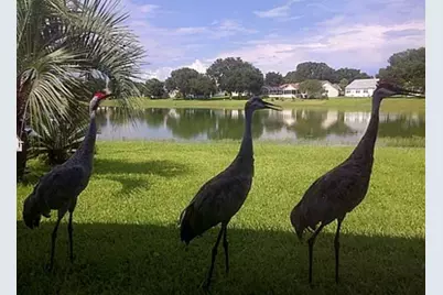 307 Del Mar Drive, Lady Lake, FL 32159 - Photo 21