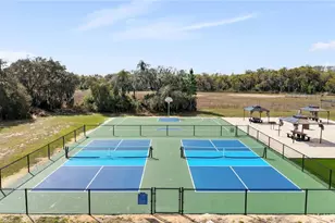 17203 Sandalwood Dr, Wildwood, FL 34785 - Photo 5