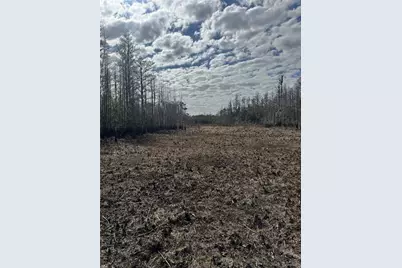 5700 Lake Erie Road, Groveland, FL 34736 - Photo 11
