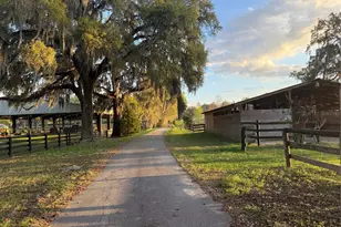 10555 NW 28th Pl, Ocala, FL 34482 - Photo 47