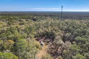 19534 Fox Den Ln, Altoona, FL 32702 - Photo 69