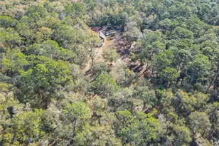 19534 Fox Den Ln, Altoona, FL 32702 - Photo 71