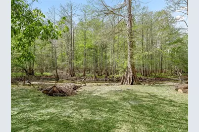 8701 Cr 647 S, Bushnell, FL 33513 - Photo 21
