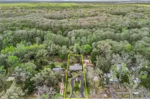 8701 Cr 647 S, Bushnell, FL 33513 - Photo 31