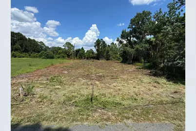Cove Road, Tavares, FL 32778 - Photo 1