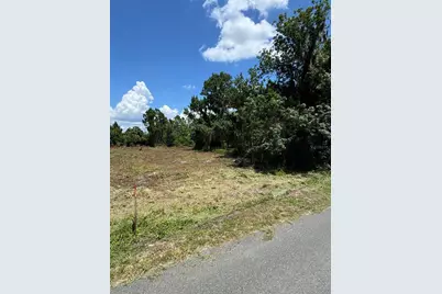 Cove Road, Tavares, FL 32778 - Photo 15