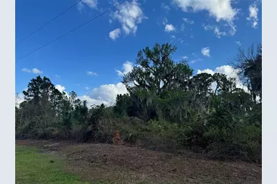 Cove Road, Tavares, FL 32778 - Photo 19