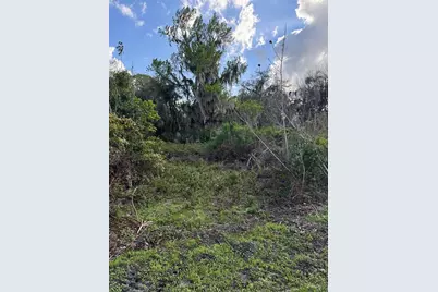 Cove Road, Tavares, FL 32778 - Photo 5