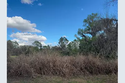 Cove Road, Tavares, FL 32778 - Photo 15