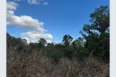 Cove Road, Tavares, FL 32778 - Photo 17