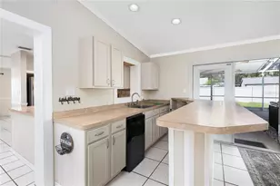 910 Druid Pl, Tavares, FL 32778 - Photo 11