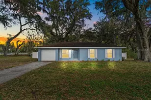 42210 W Lakeview Dr, Altoona, FL 32702 - Photo 1