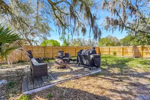 1009 E Hazzard Ave, Eustis, FL 32726 - Photo 9