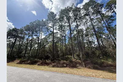 Cashew Street, Eustis, FL 32736 - Photo 13