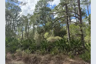 Cashew Street, Eustis, FL 32736 - Photo 9