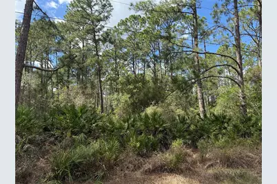 Cashew Street, Eustis, FL 32736 - Photo 7