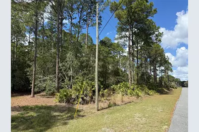 Cashew Street, Eustis, FL 32736 - Photo 3