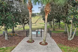 30516 Gidran Terrace, Mount Dora, FL 32757 - Photo 57