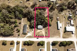 16649 SE 23rd Ave, Summerfield, FL 34491 - Photo 35