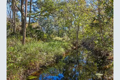 13524 Corkwood Lane, Astatula, FL 34705 - Photo 5