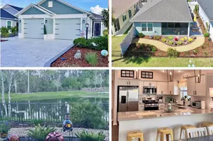 4193 Silvana Wy, The Villages, FL 32163 - Photo 1