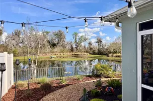 4193 Silvana Wy, The Villages, FL 32163 - Photo 27