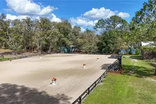 22301 Coronado Somerset Dr, Sorrento, FL 32776 - Photo 57