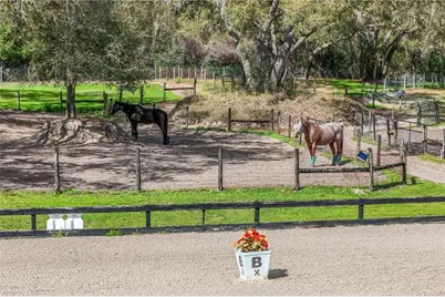 22301 Coronado Somerset Drive, Sorrento, FL 32776 - Photo 61