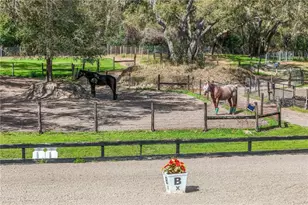 22301 Coronado Somerset Dr, Sorrento, FL 32776 - Photo 61