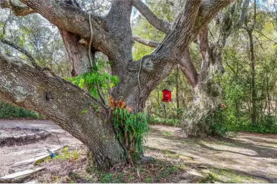 22301 Coronado Somerset Drive, Sorrento, FL 32776 - Photo 65