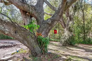 22301 Coronado Somerset Dr, Sorrento, FL 32776 - Photo 65