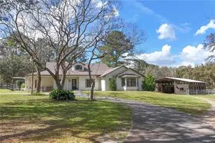 22301 Coronado Somerset Dr, Sorrento, FL 32776 - Photo 71