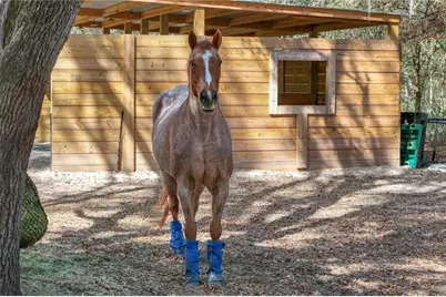 22301 Coronado Somerset Drive, Sorrento, FL 32776 - Photo 69