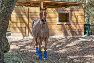 22301 Coronado Somerset Dr, Sorrento, FL 32776 - Photo 69