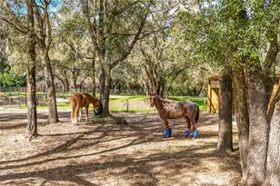 22301 Coronado Somerset Dr, Sorrento, FL 32776 - Photo 71