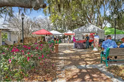 1120 Gardner Lane, Mount Dora, FL 32757 - Photo 41