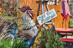 1120 Gardner Ln, Mount Dora, FL 32757 - Photo 49