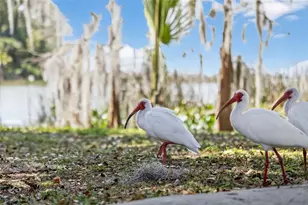 1120 Gardner Ln, Mount Dora, FL 32757 - Photo 53