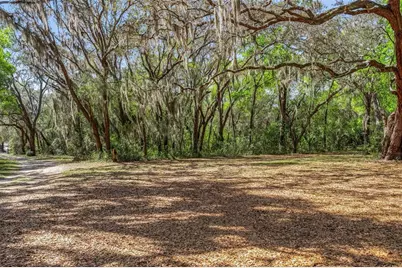 2917 Lake Griffin Road, Lady Lake, FL 32159 - Photo 5