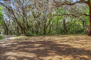 2917 Lake Griffin Rd, Lady Lake, FL 32159 - Photo 5