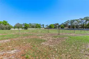 2917 Lake Griffin Rd, Lady Lake, FL 32159 - Photo 53