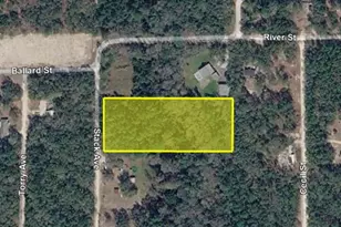 112 Stack Ave, Interlachen, FL 32148 - Photo 1