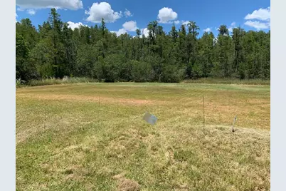 26545 C C Lane, Wesley Chapel, FL 33544 - Photo 5