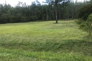 26545 C C Ln, Wesley Chapel, FL 33544 - Photo 1