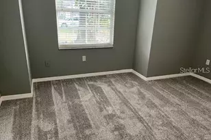 825 Mary Frank Ct, Mount Dora, FL 32757 - Photo 11