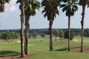 8723 SE 130th Loop, Summerfield, FL 34491 - Photo 61