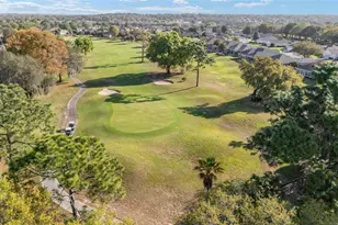 8723 SE 130th Loop, Summerfield, FL 34491 - Photo 53