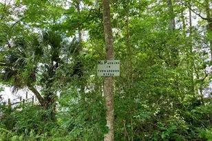 30260 W Thyme Ave, Eustis, FL 32736 - Photo 53